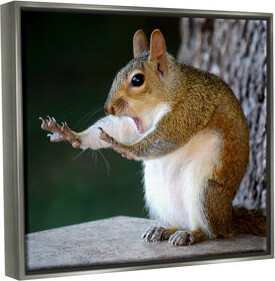 Ebern Designs Funny Shocked Pose Squirrel Framed On Canvas by Mary McGowan Print