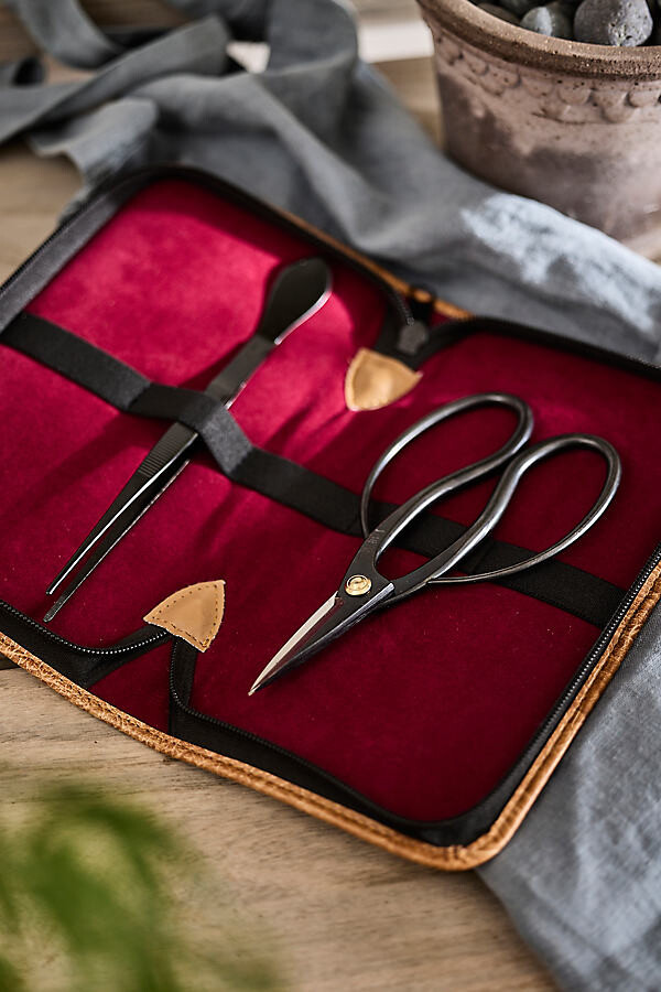 Niwaki Bonsai Garden Tool Gift Set at Terrain