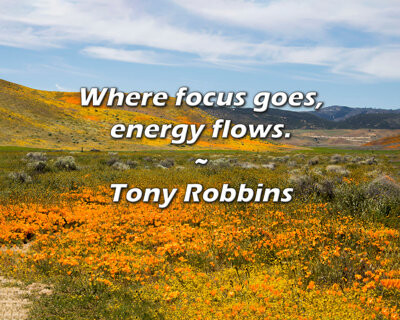 Artsy Quote "Where focus goes, energy flows." By Tony Robbins Gallery Wrapped Canvas
