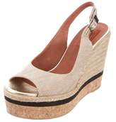 Thumbnail for your product : Missoni Metallic Espadrille Wedges
