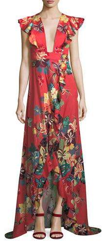 alexis janna maxi dress