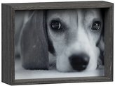 Thumbnail for your product : Stratton 5x7 Picture Frame