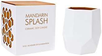 D.L. & Co. Mandarin Splash Ceramic Candle (14OZ)