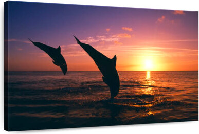 Ebern Designs Brampt Dancing Bottlenose Dolphins