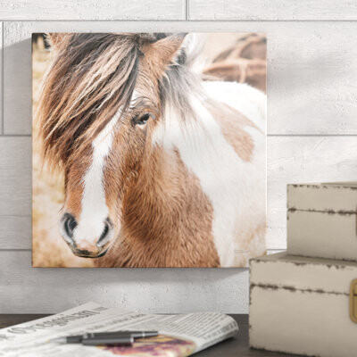 Union Rustic Elska IV by Laura Marshall - Photograph on Canvas