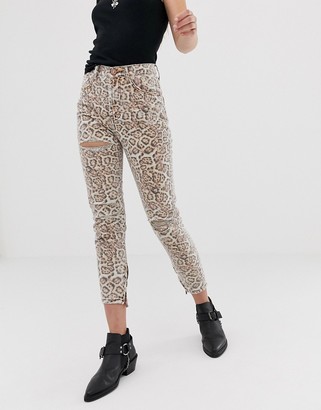 One Teaspoon Freebirds high waisted skinny jean in leopard print