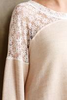 Thumbnail for your product : Hazel Ingress Lace Pullover