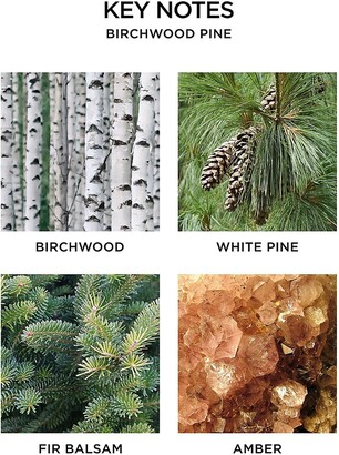 NEST Fragrances Birchwood Pine Scented Candle