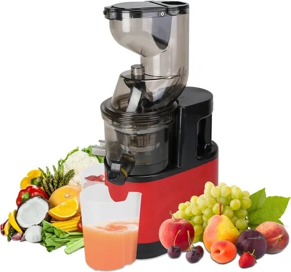 Racxily ColdPressJuicerMachine300WElectricSlowMasticatingJuicerforWholeVegetableandFruitwithReverseFunction2ContainersCleaningBrush