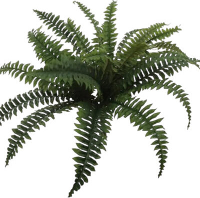 Larksilk 4pcs Boston Fern Plant With 30 Silk Fronds 34" Wide - 2025 Spring Collection