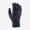 Thumbnail for your product : Nike U.S. Fan Gloves