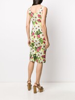 Thumbnail for your product : Dolce & Gabbana Rose Print Charmeuse Midi Dress