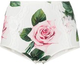 Thumbnail for your product : Dolce & Gabbana Rose Print Briefs