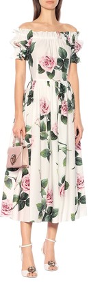 Dolce & Gabbana Floral cotton dress