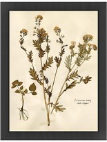 Thumbnail for your product : Bloomingdale's Wendover Art Group Pressed Botanical Artwork