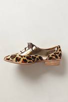 Thumbnail for your product : Klub Nico Leopard Talita Oxfords