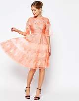 Thumbnail for your product : ASOS SALON Lace And Organza Midi Dress