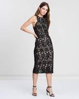 Thumbnail for your product : Cooper St Snapdragon High Neck Lace Dress