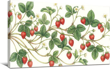 Red Barrel Studio Plants &Flowers Strawberry Vines With Leaves And Flowers