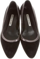 Thumbnail for your product : Manolo Blahnik Suede Pointed-Toe Flats