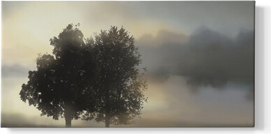 Lark Manor Misty Morning- Framed Gallery Wrapped Canvas -Ready to Hang