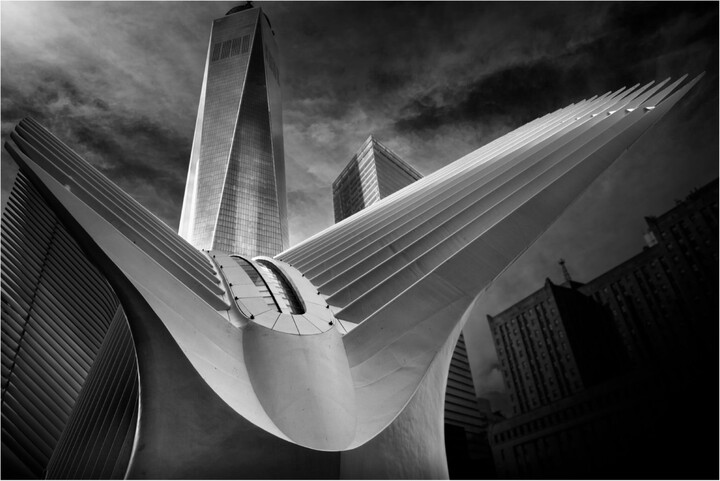 Canvas Wall Art - Alessio Forlano 'Oculus 01' Wall Art for Living Room, Bedroom, or Office Décor by Trademark Fine Art - 47 x 30 Inches