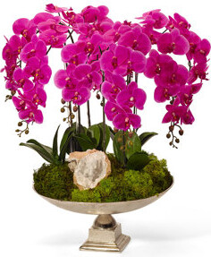 T&C Floral Company Orchid Flowering in Urn