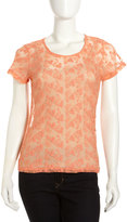 Thumbnail for your product : Velvet by Graham & Spencer Floral Embroidered Mesh Top, Glare