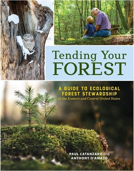 TendingYourForest-byPaulCatanzaro&AnthonyD'Amato(Paperback)