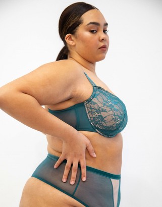 We Are We Wear Curve nylon blend high apex non padded plunge bra