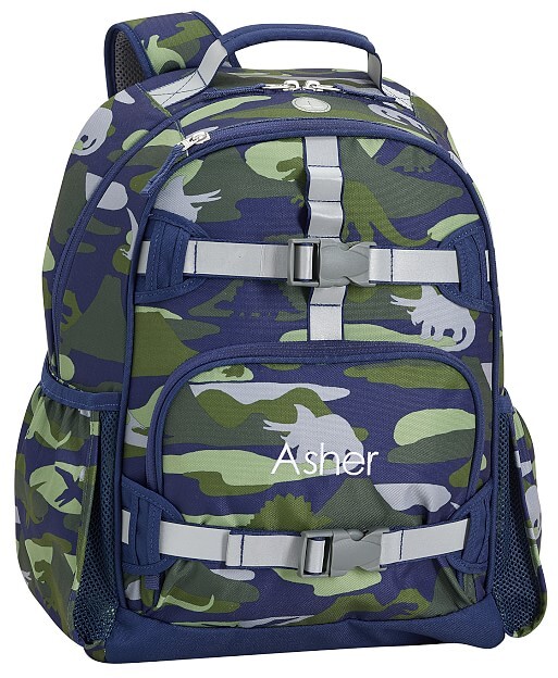 pottery barn dinosaur backpack