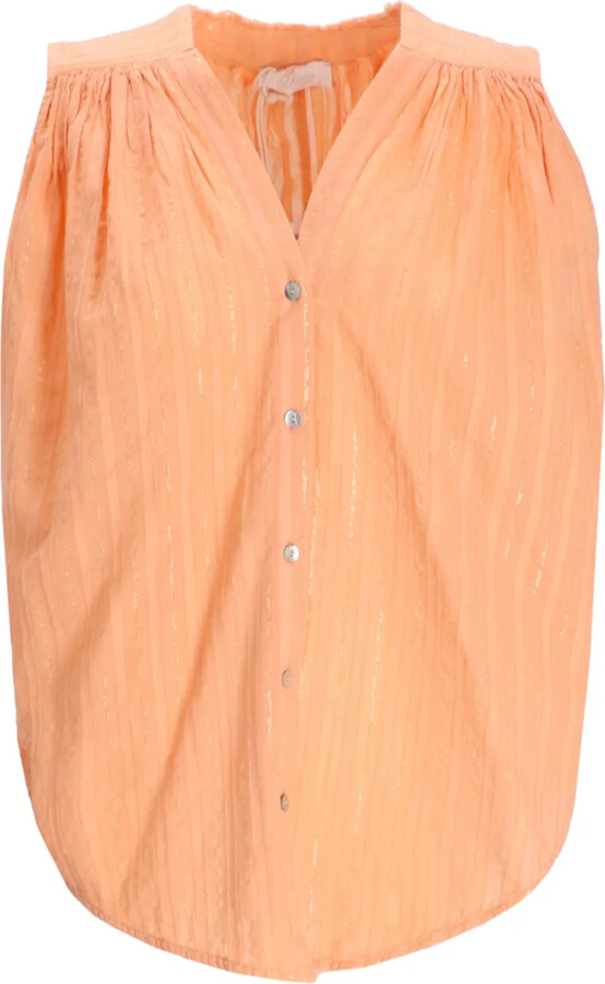 Devotion Iris metallic-striped sleeveless blouse