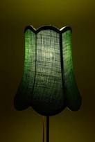 Thumbnail for your product : Anthropologie Chloe Lampshade
