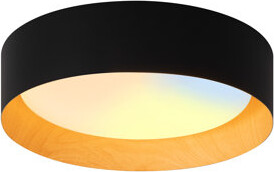 13" Modern LED Flush Mount Lighting 5 CCT Adjustable