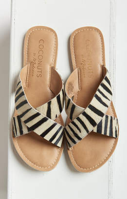 Show Me Your Mumu Show Me Your Matisse ~ Pebbles Slide Sandals ~ Zebra