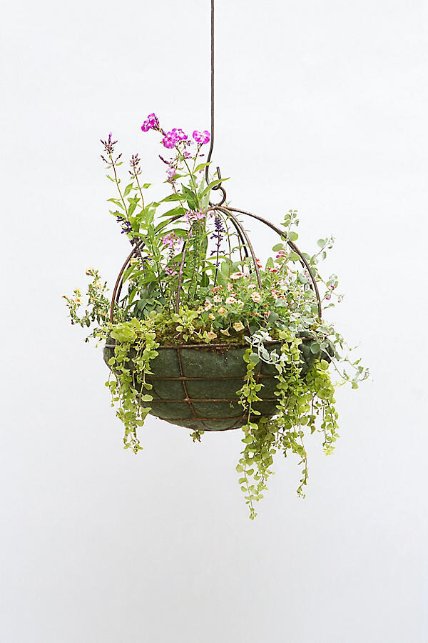 Sphere Rust Patina Hanging Basket