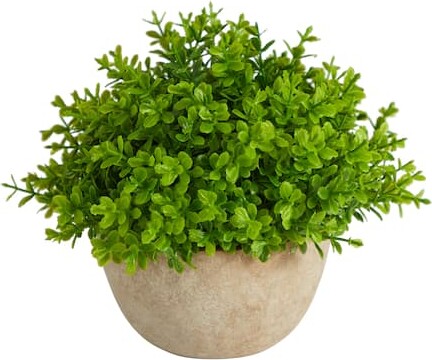 Nearly Natural 5" Boxwood Artificial Plant in Decorative Planter By in Green