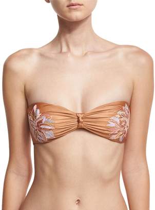 Ale By Alessandra Floral-Embroidered Bandeau Swim Top, Brown