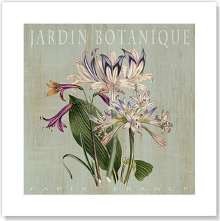 Casa Fine Arts Botanical Posters Jardin Botanique I - Unframed Graphic Art