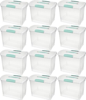 Sterilite Large Nesting ShowOffs, Stackable Small Storage Bin with