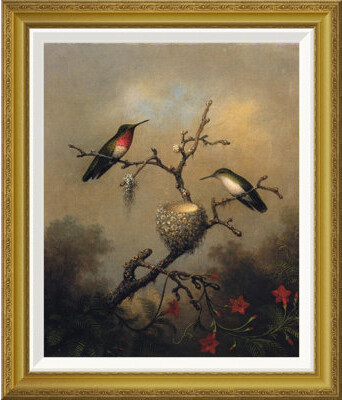 Global Gallery 'Ruby Throated Hummingbird' by Martin Johnson Heade Framed Painting Print
