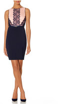 Thumbnail for your product : The Limited Belted Lace Trim Sheath Dress