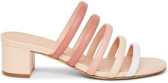 mansur gavriel lamb ankle strap sandal