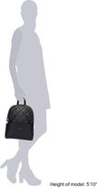 Thumbnail for your product : Fiorelli Trenton backpack