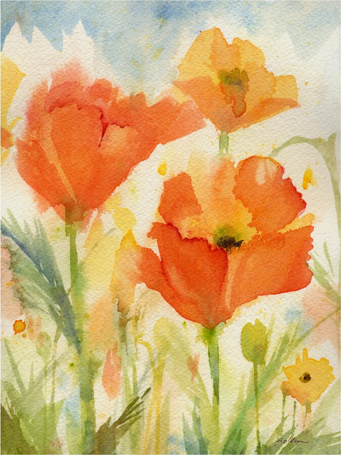 Trademark Fine Art Shelia Golden Field of Poppies Golden Canvas Wall Art - 35x47