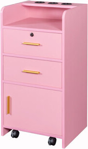 Latitude Run Loc Beauty Salon Storage Cabinet Hair Dryer Holder Stylist Equipment Drawer