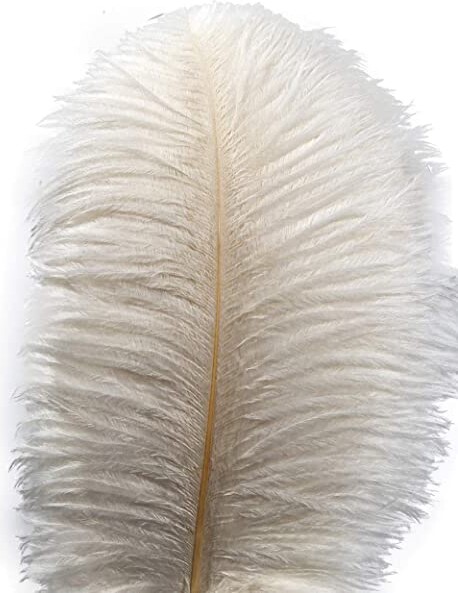 Lampu 10pcs Ostrich Feathers 12-14 inch(30-35cm) Plume Home Wedding Decoration（White）
