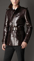 Thumbnail for your product : Burberry Belted Alligator Caban