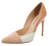 Thumbnail for your product : Alexandre Birman Pointed-Toe Leather Pumps