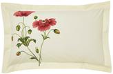 Thumbnail for your product : Sanderson Options Persian Poppy Bedding Range